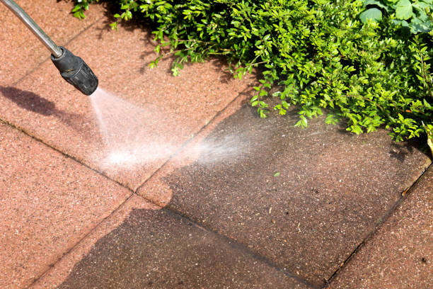 Best Local Pressure Washing Services  in Belleair, FL